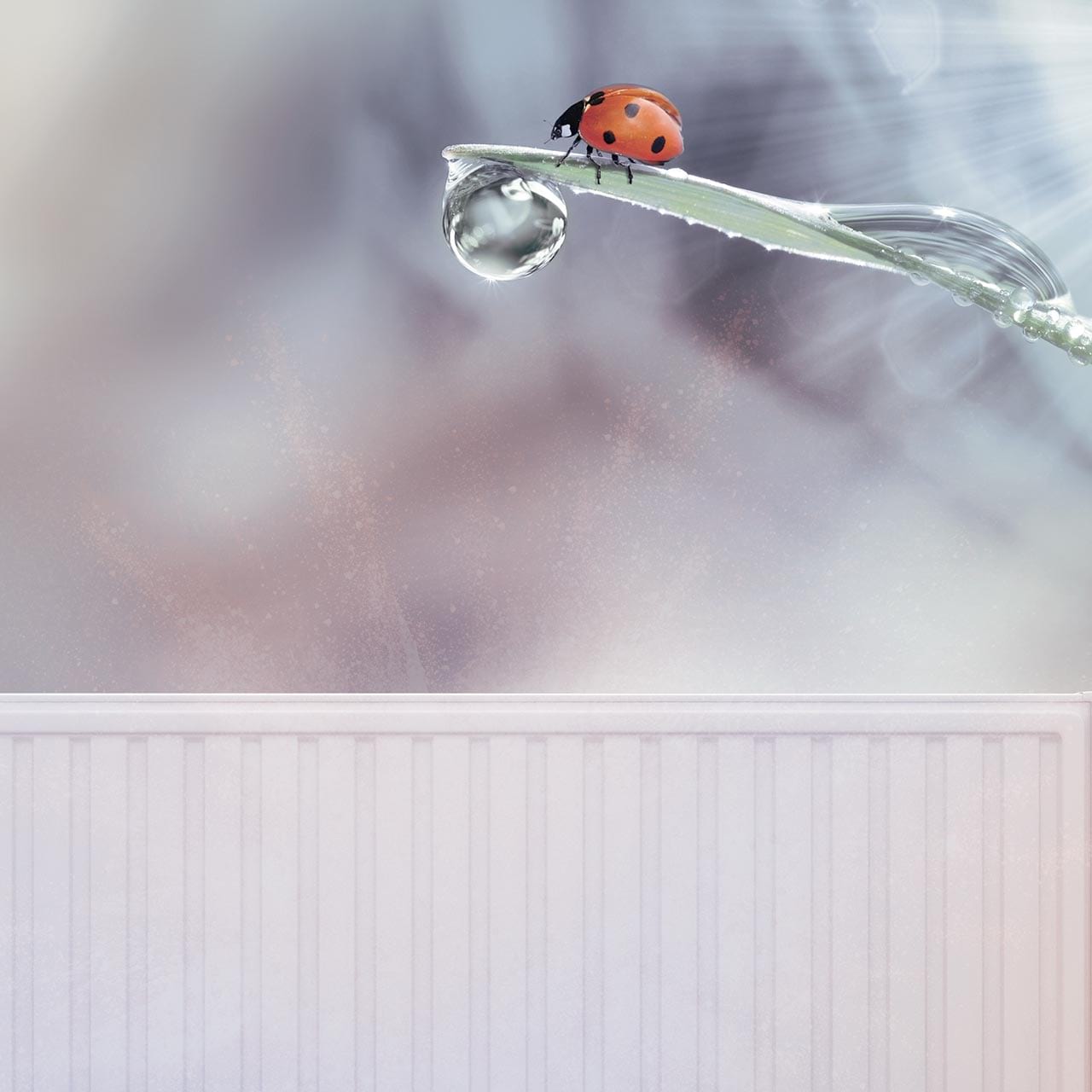 Nachhaltiger Heizungsschutz