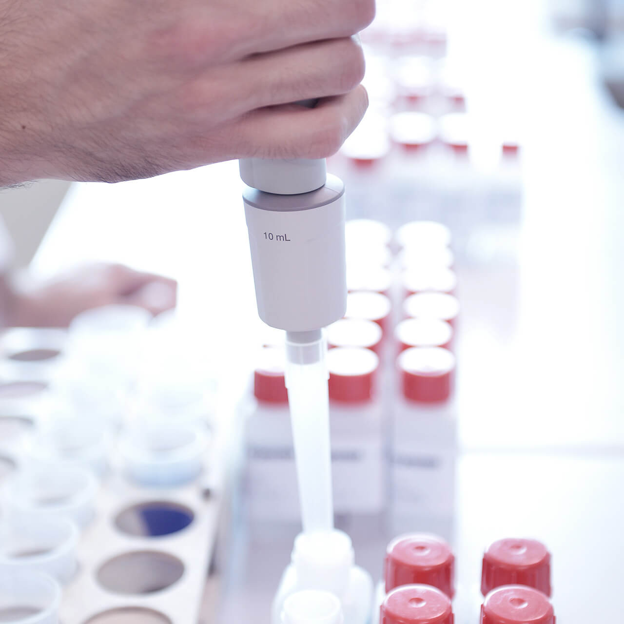 support produit formules