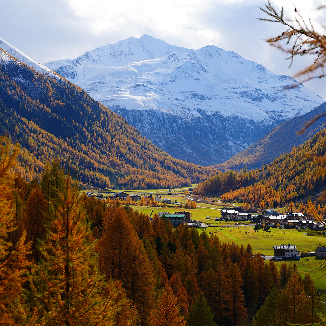 Autumn_livigno